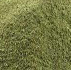 MOTHERWORT HERB POWDER